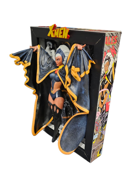 Storm 3D Box Frame Art 13x18cm